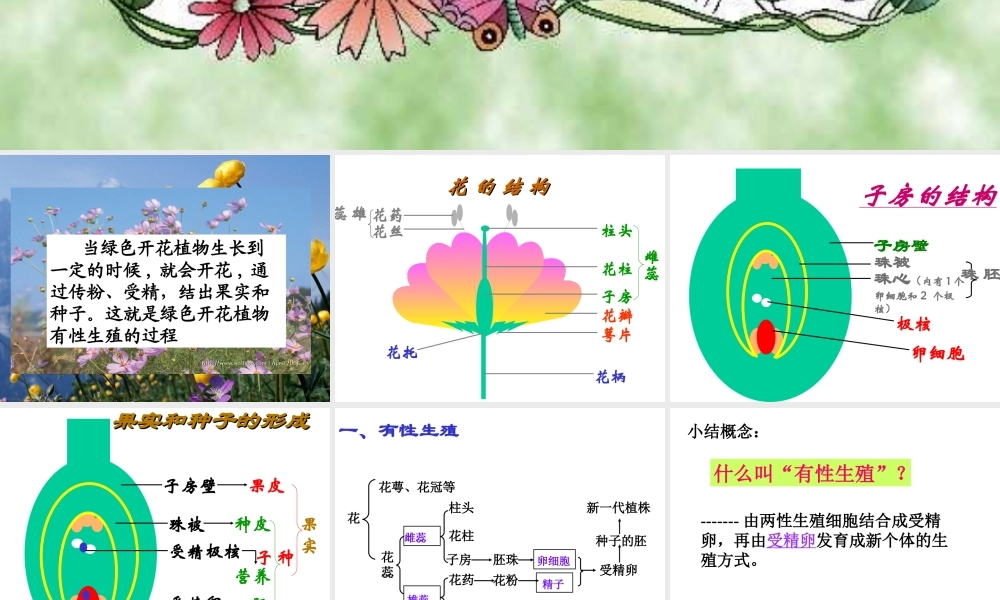 八年级生物下第一节 植物的生殖课件(新疆维吾尔自治区克拉玛依市独山子区)人教版 课件