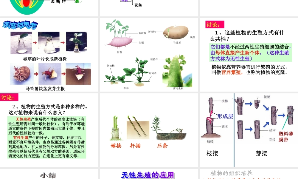 八年级生物下第一节 植物的生殖课件(新疆维吾尔自治区克拉玛依市独山子区)人教版 课件