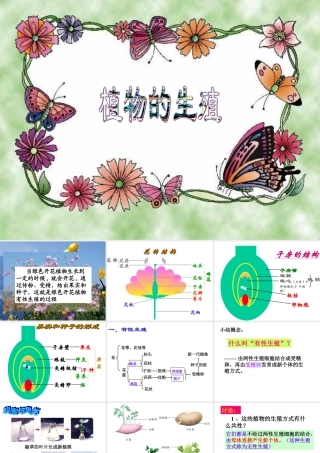 八年级生物下第一节 植物的生殖课件(新疆维吾尔自治区克拉玛依市独山子区)人教版 课件