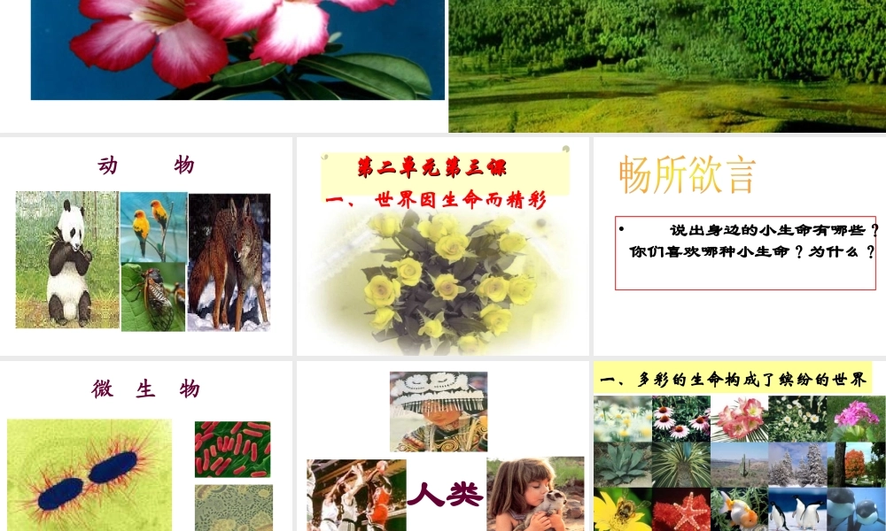 世界因生命而精彩正式