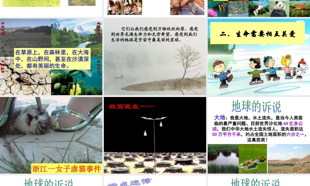 世界因生命而精彩正式