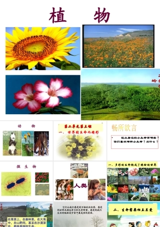 世界因生命而精彩正式