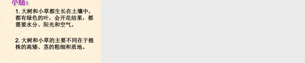 《大树和小草》课件4[1]