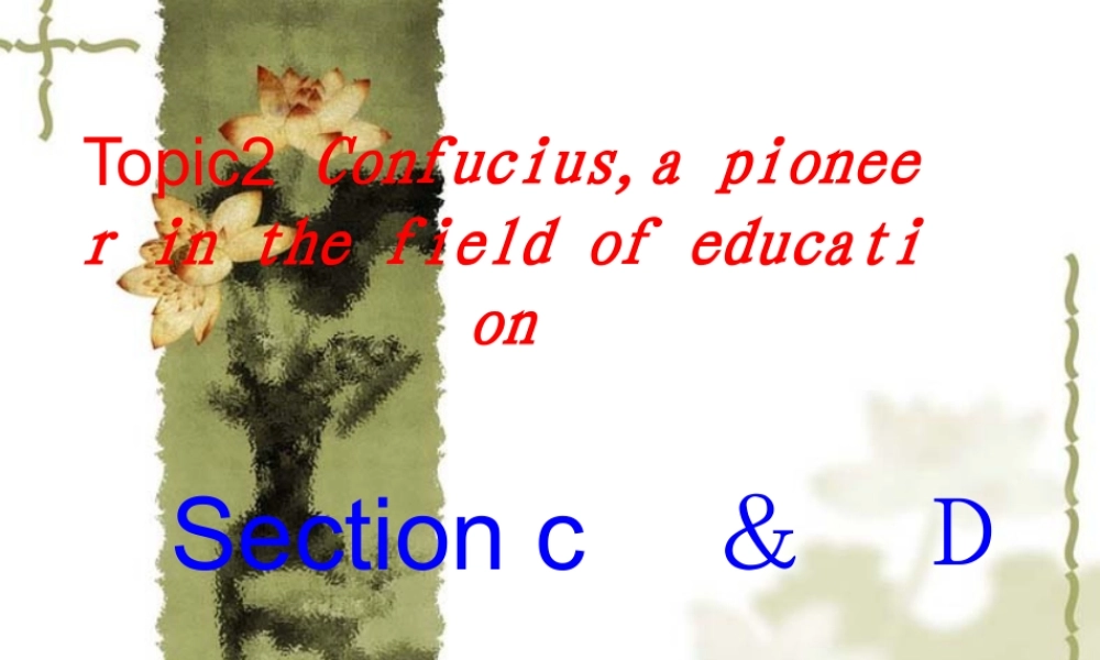 九年级英语Unit5 Topic 2 Section C & D 课件湘教版 九年级英语下册unit5仁爱版