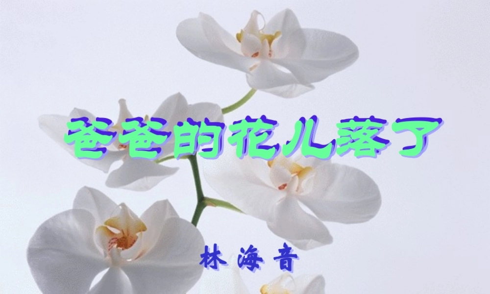 爸爸的花儿落了(正式)