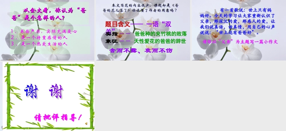 爸爸的花儿落了(正式)