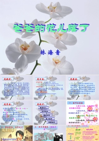 爸爸的花儿落了(正式)