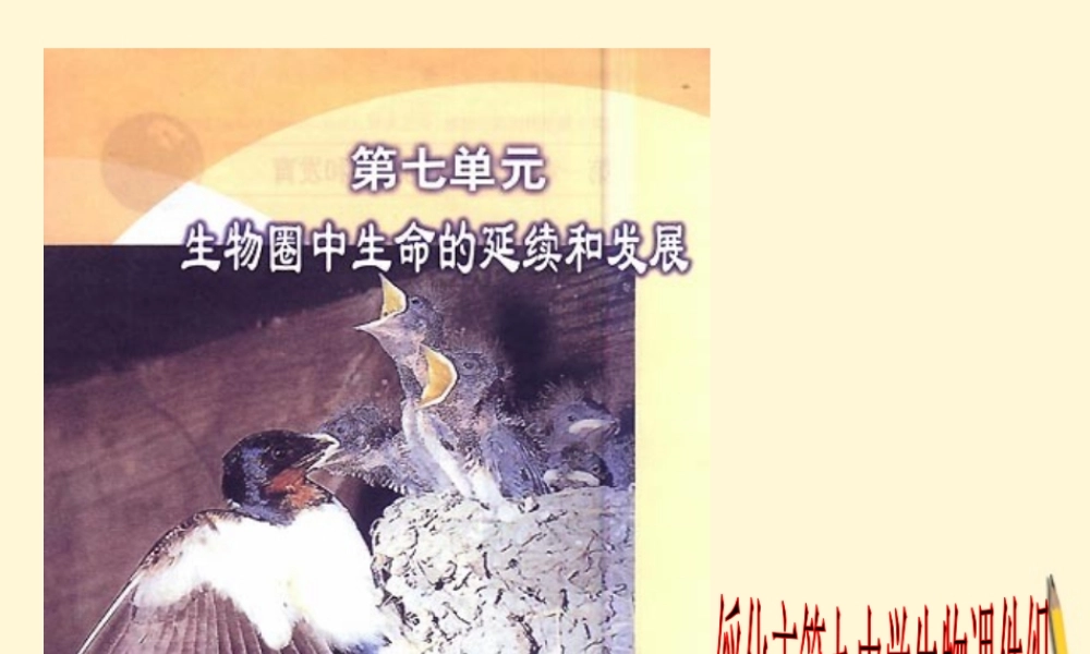 八年级生物(植物的生殖)课件  课件