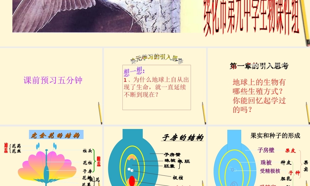 八年级生物(植物的生殖)课件  课件