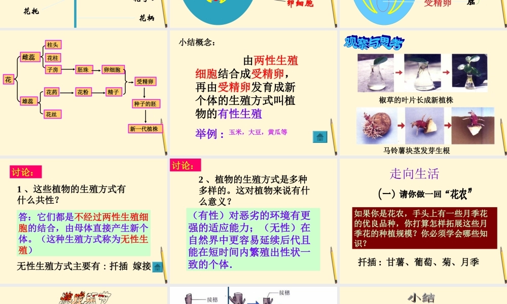 八年级生物(植物的生殖)课件  课件