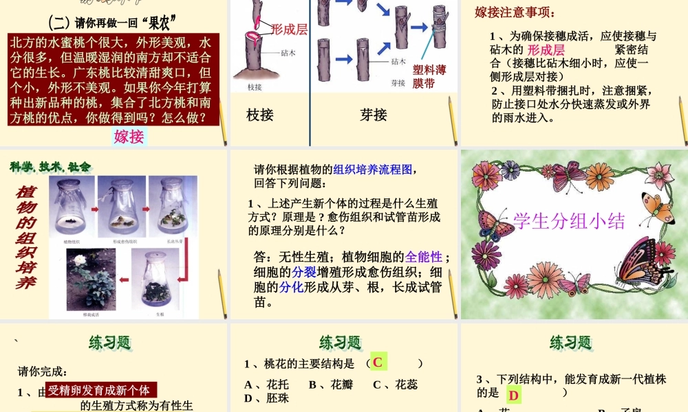 八年级生物(植物的生殖)课件  课件