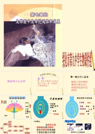 八年级生物(植物的生殖)课件  课件