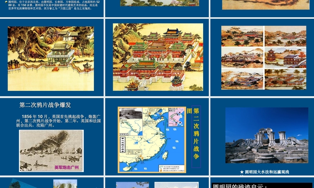 八年级历史上册 第2课(劫难中的抗争)课件  北师大版 课件