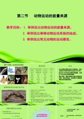 云南省麻栗坡县八年级生物上册(16.2 动物运动的能量来源)课件 苏教版 课件