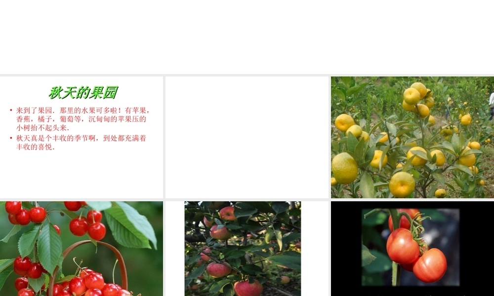 秋天的景色__作文