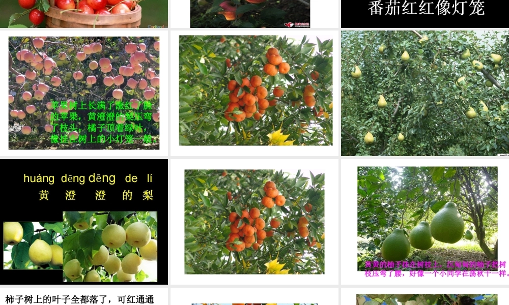 秋天的景色__作文