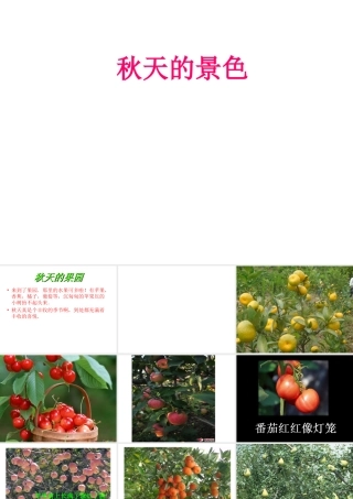 秋天的景色__作文