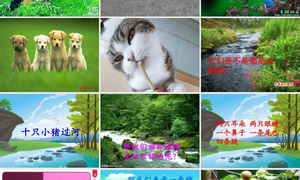 十只小猪过河