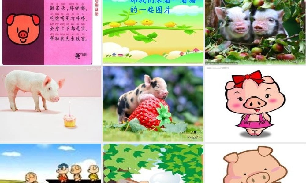 十只小猪过河