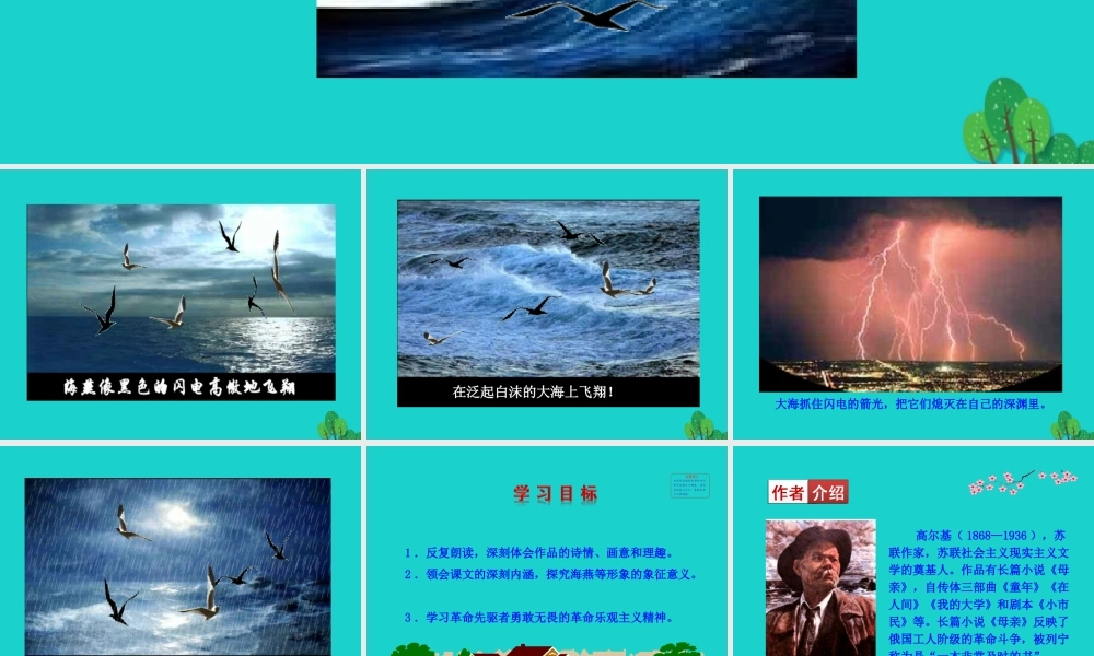 九年级语文下册 第一单元 4 海燕课件 九年级语文下册 第一单元 4 海燕课件+素材 新人教版