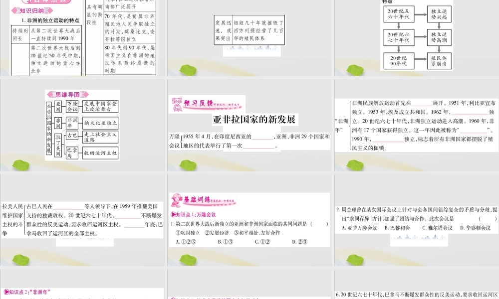 九年级历史下册 第五单元 冷战和美苏对峙的世界 第19课 亚非拉国家的新发展习题课件 新人教版 课件