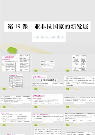 九年级历史下册 第五单元 冷战和美苏对峙的世界 第19课 亚非拉国家的新发展习题课件 新人教版 课件