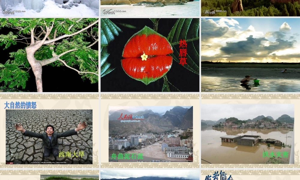 公开课件：敬畏自然