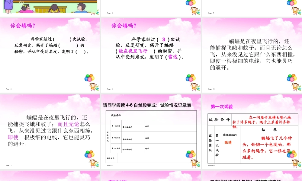 、蝙蝠和雷达
