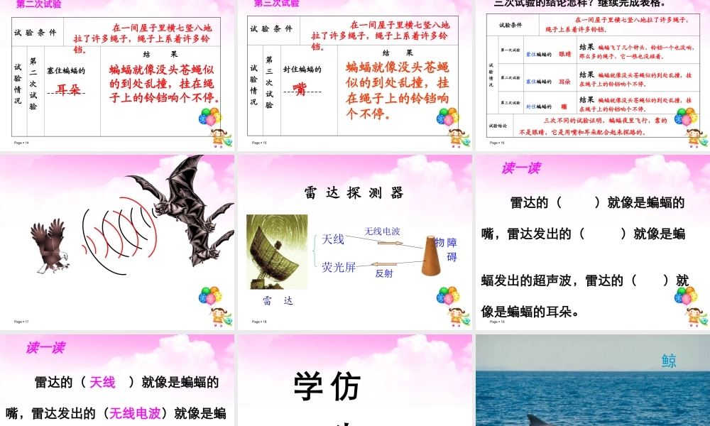 、蝙蝠和雷达