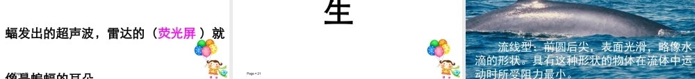 、蝙蝠和雷达
