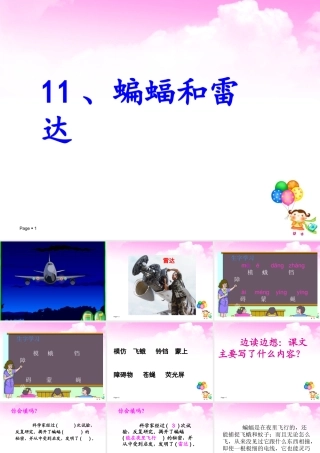 、蝙蝠和雷达