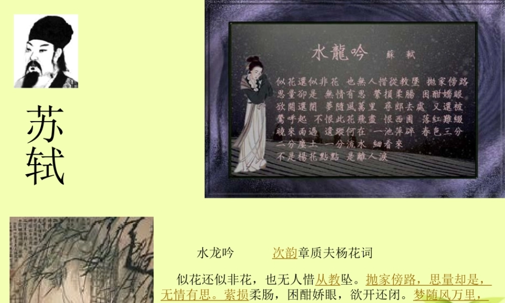 八年级语文下册(水龙吟 次韵章质夫杨花词)课件 北师大版 课件