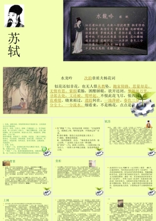 八年级语文下册(水龙吟 次韵章质夫杨花词)课件 北师大版 课件
