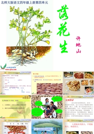 落花生第二课时课件