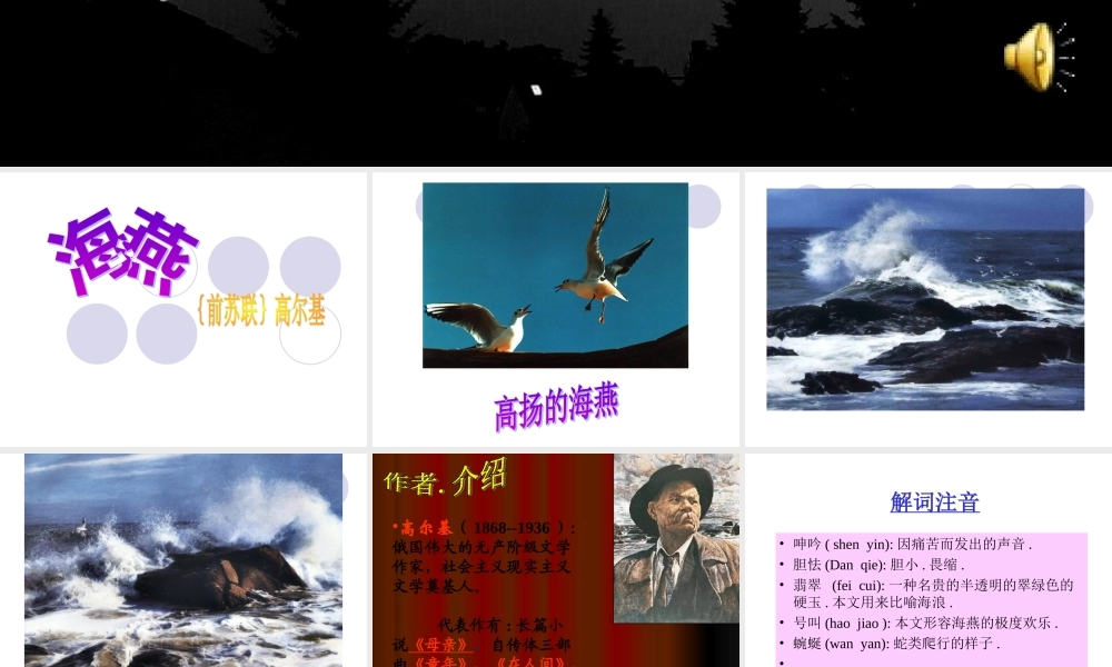 八年级语文海燕新人教版 教案