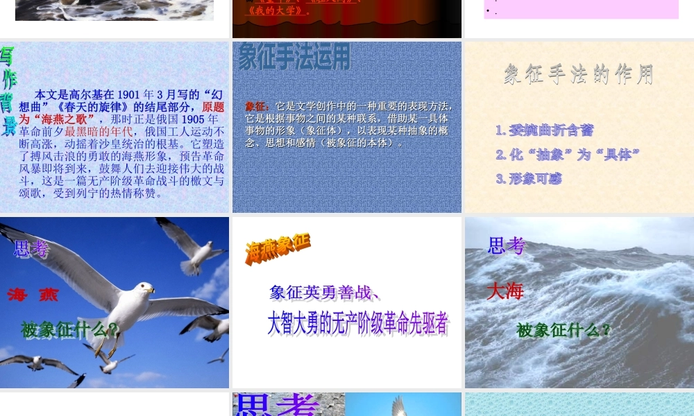 八年级语文海燕新人教版 教案