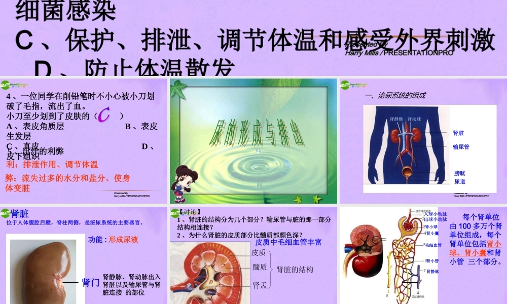 七年级生物下册 尿的形成与排出上课件 北师大版 课件
