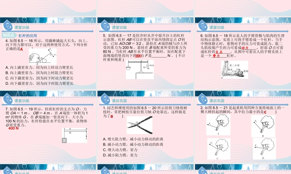 八年级物理下册 6.5 探究杠杆的平衡条件(第2课时)课件 (新版)粤教沪版 课件