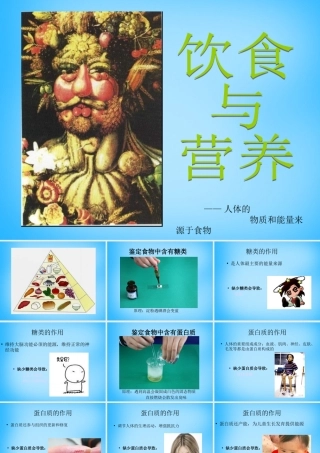 中学七年级生物上册 3.5.1(饮食与营养)课件 (新版)苏科版 课件