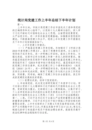 统计局党建工作上半年总结下半年计划