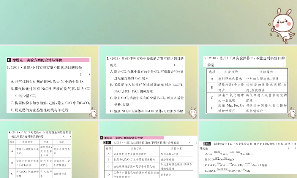中考化学复习 主题五 科学探究 第19讲 实验方案的设计与评价课件