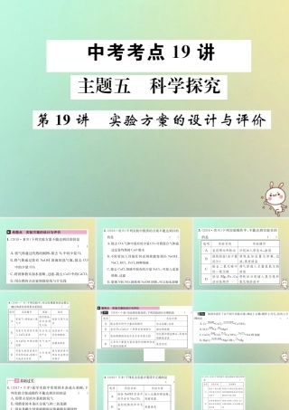 中考化学复习 主题五 科学探究 第19讲 实验方案的设计与评价课件
