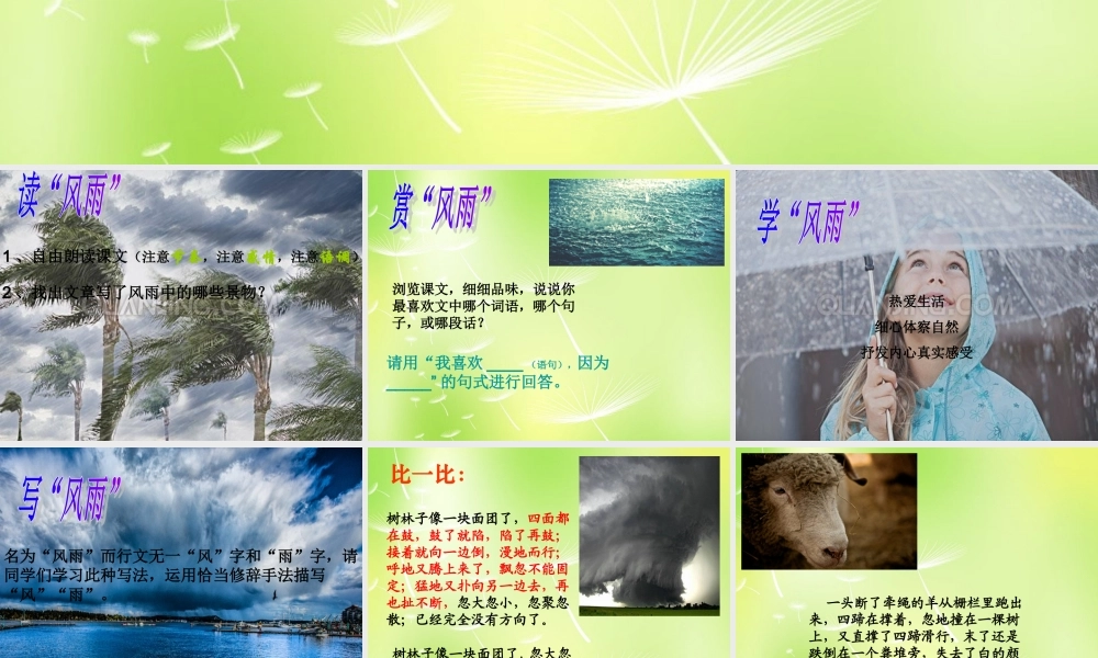 中学七年级语文上册 13 风雨课件 新人教版 课件