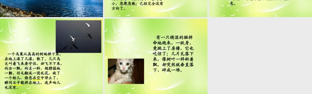 中学七年级语文上册 13 风雨课件 新人教版 课件