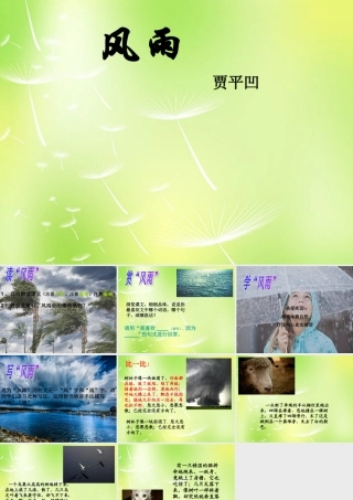 中学七年级语文上册 13 风雨课件 新人教版 课件