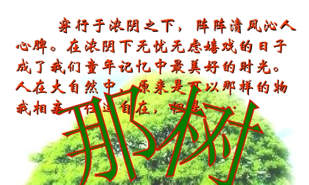 九年级语文上册 (那树)课件 鲁教版　 课件