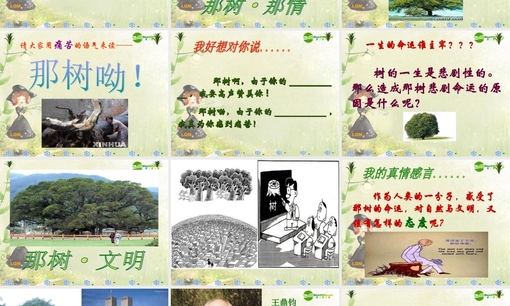 九年级语文上册 (那树)课件 鲁教版　 课件