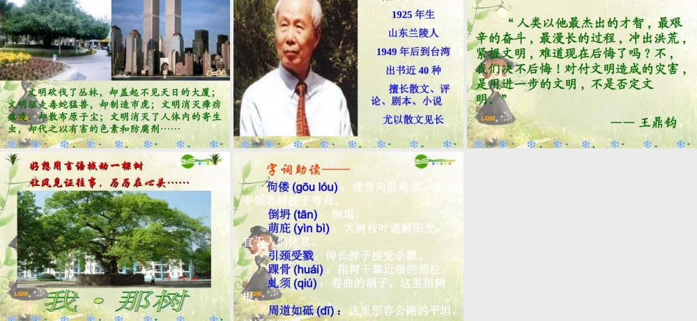 九年级语文上册 (那树)课件 鲁教版　 课件