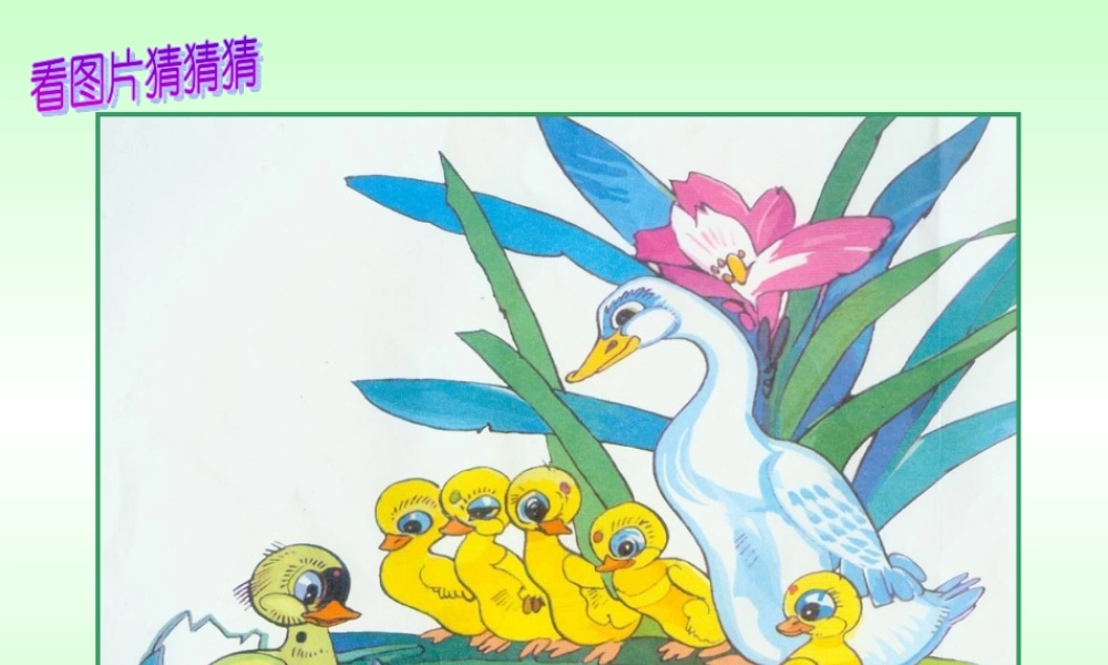 巨人的花园完美版