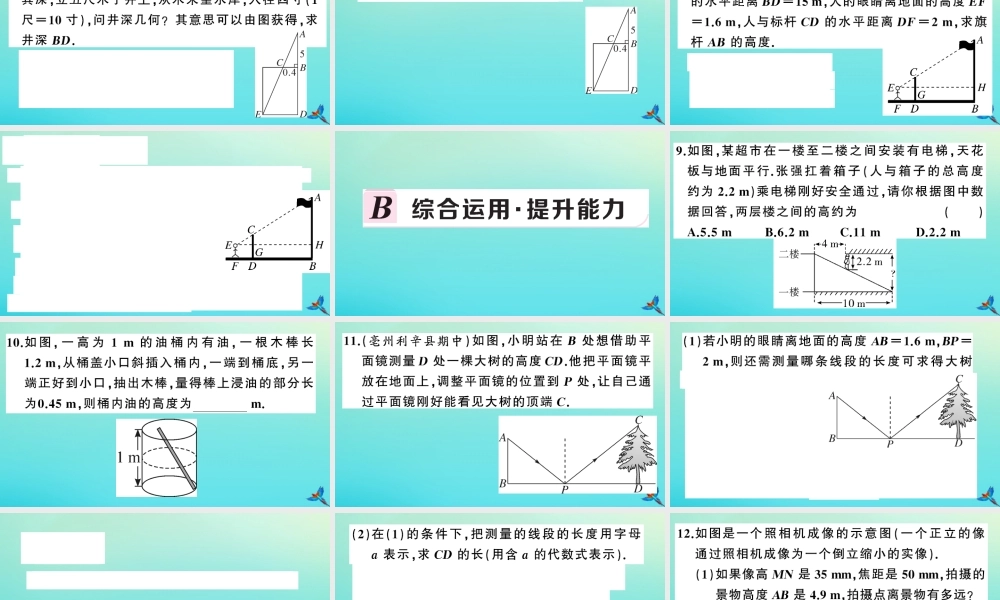 九年级数学上册 第22章 相似形 22.5 综合与实践 测量与误差作业课件 (新版)沪科版 课件